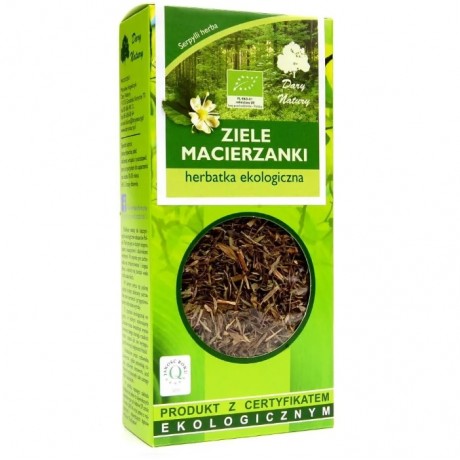 Macierzanka ziele 25g EKO DARY NATURY - Wiesiołek-Pharma