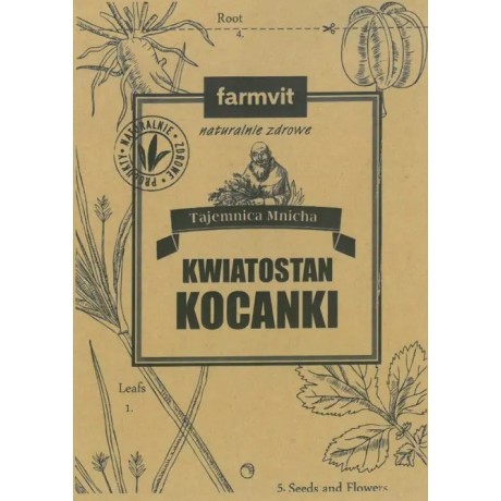 Kocanka kwiatostan 50g FARM-VIT - Wiesiołek-Pharma