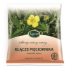 Pięciornik kłącze 50g KAWON - Wiesiołek-Pharma