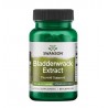 Bladderwrack Extract 60 kaps. SWANSON - Wiesiołek-Pharma