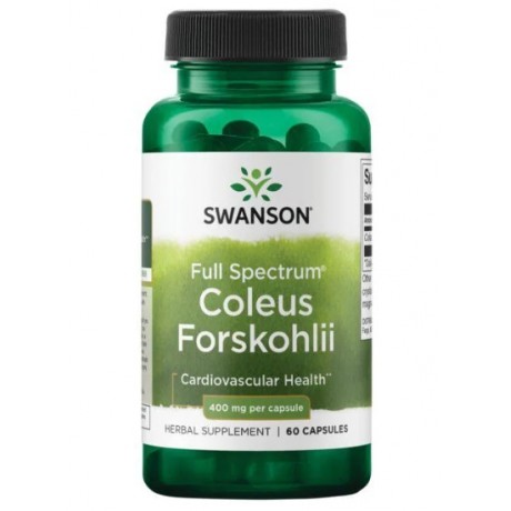 Coleus Forskohlii 400mg 60 kaps. SWANSON - Wiesiołek-Pharma