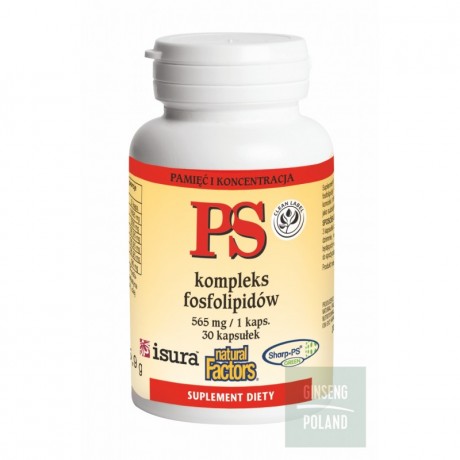 PS Kompleks fosfolipidów 525mg 30 kaps. GINSENG - Wiesiołek-Pharma