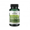 Gotu Kola 435mg 60 kaps. SWANSON - Wiesiołek-Pharma