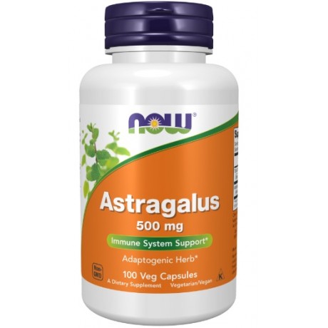 Astragalus 500mg 100 kaps. NOW FOODS - Wiesiołek-Pharma