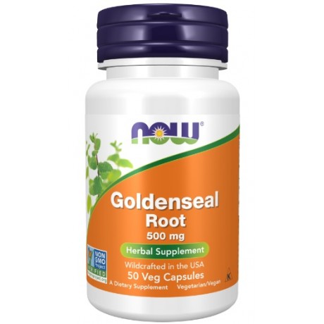 Goldenseal Root 500mg 50 kaps. NOW FOODS - Wiesiołek-Pharma