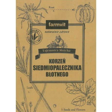 Siedmiopalecznik błotny korzeń 50g FARM-VIT - Wiesiołek-Pharma