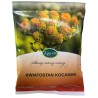 Kocanka kwiatostan 25g KAWON - Wiesiołek-Pharma