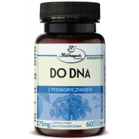 Do Dna z podagrycznikiem 60 kaps. Herbapol KRAKÓW - Wiesiołek-Pharma